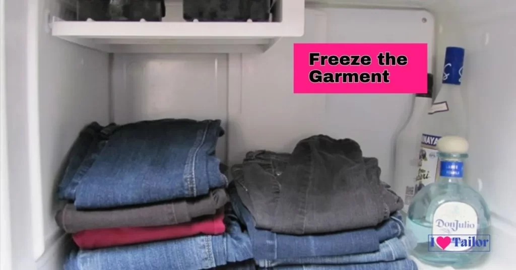 Freeze the Garment